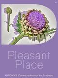 Artichoke
