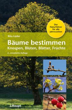 Bäume bestimmen