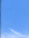 trans 40. Phantasma