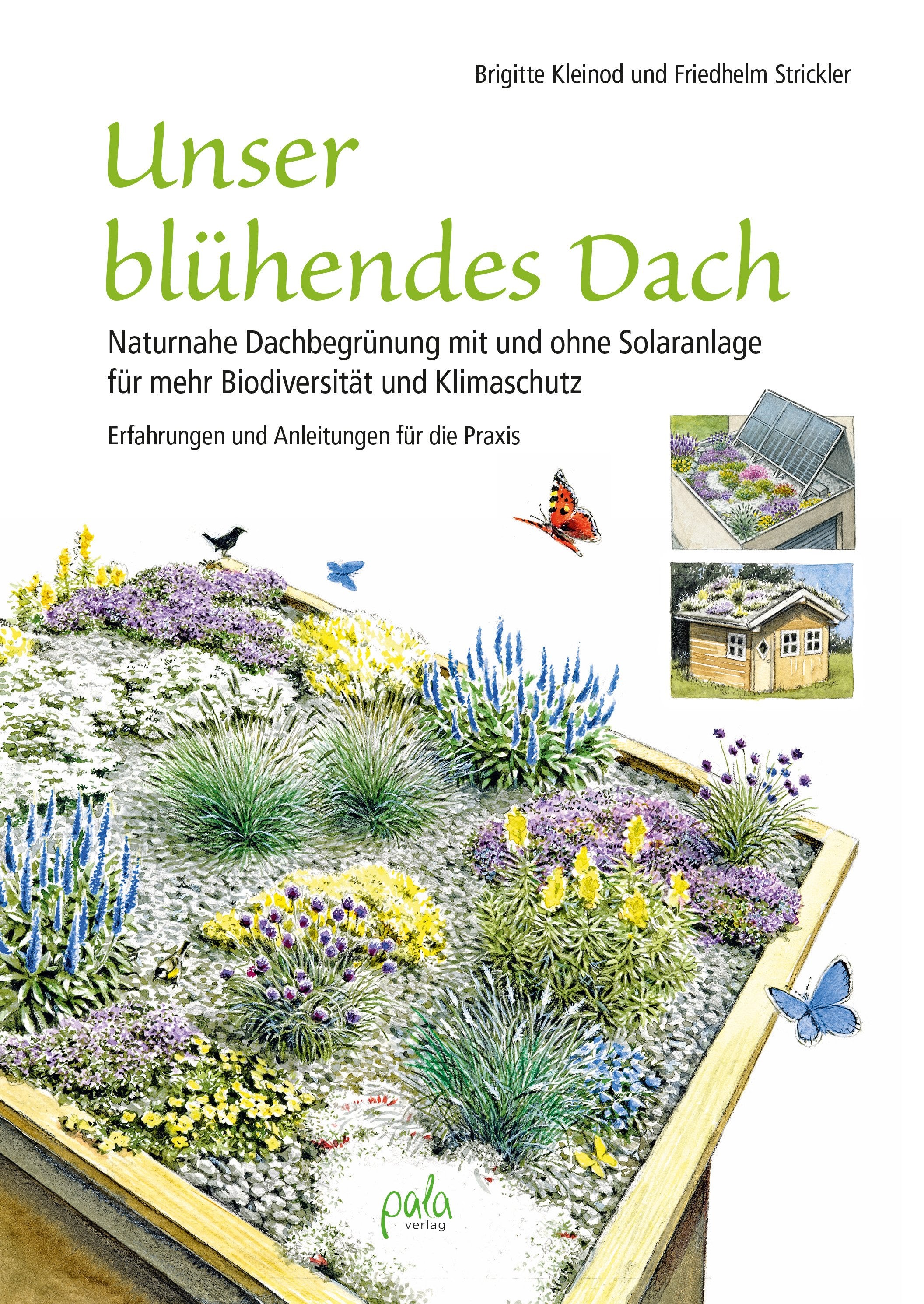 Unser blühendes Dach