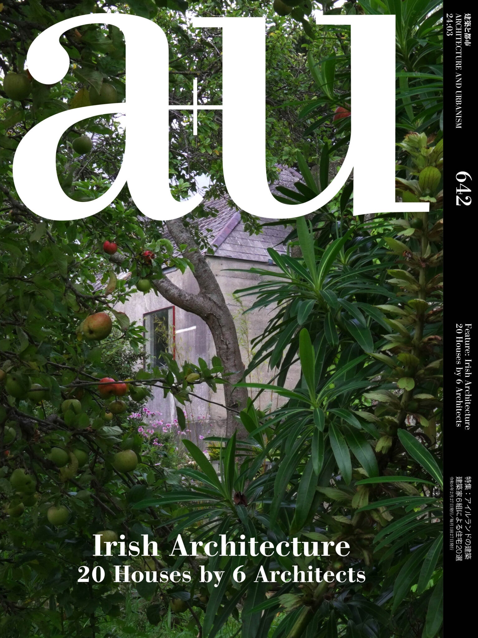 Irish Architectue