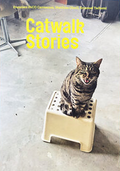 Catwalk Stories